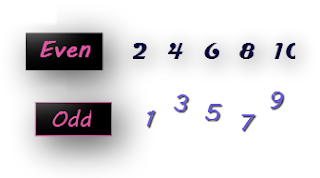 Array with Even and Odd numbers - Java Discover