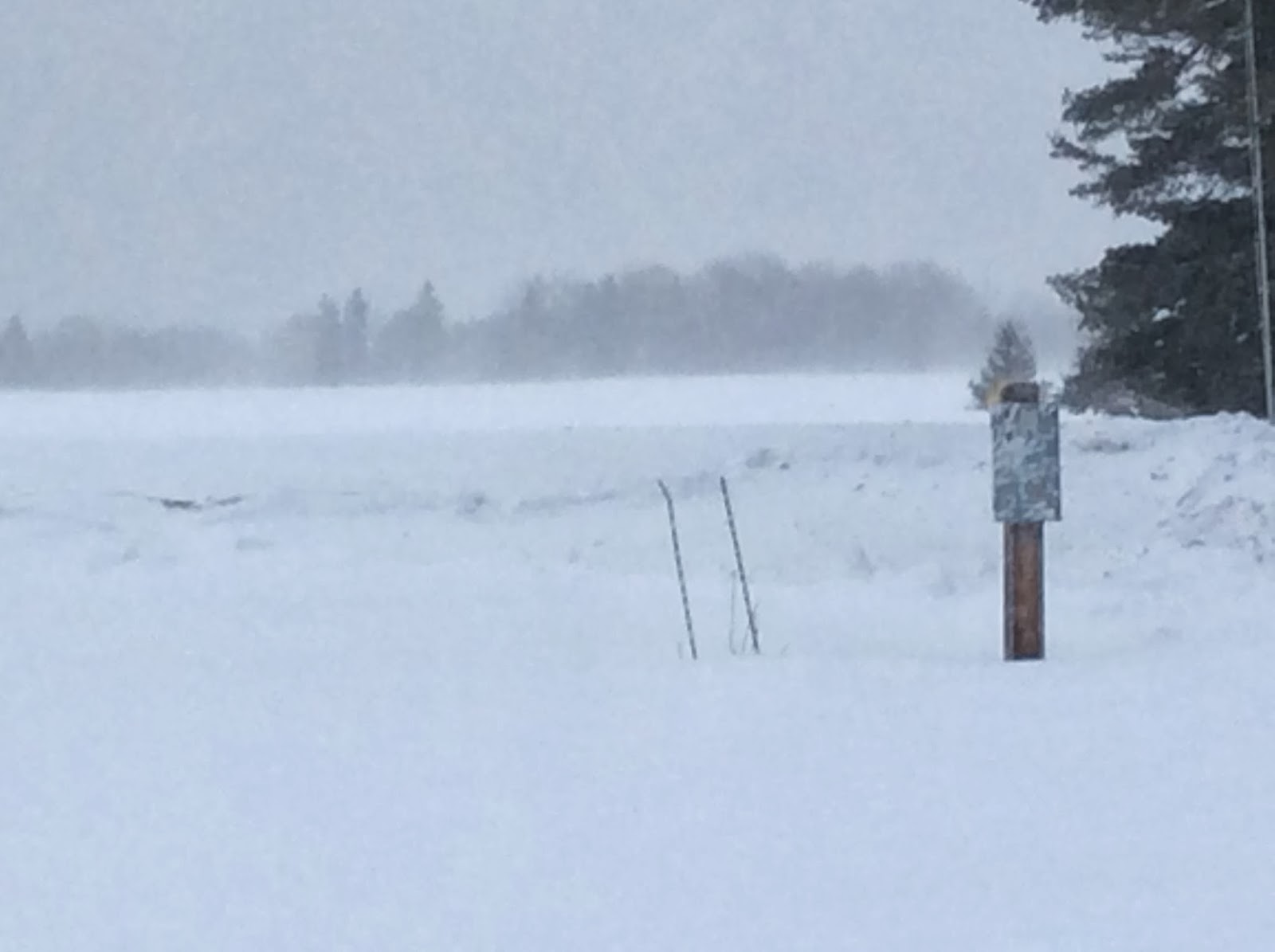 Port Wing Passages Cloudy days bring forth treasures