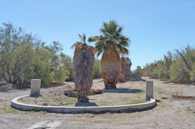 abandoned places a legacy of past ebook a scoundrel s legacy zzyzx road and abandoned health spa abandoned places a legacy of past ebook a scoundrel s legacy zzyzx road and abandoned health spa
