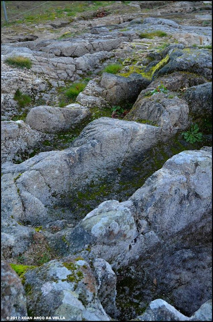 XOAN ARCO DA VELLA MECRÓPOLIS DE SAN VICTOR BARXACOVA