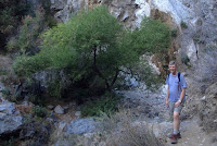 Dan Simpson at dry Fish Canyon Falls, October 24, 2015 Dan Simpson at dry Fish Canyon Falls, Angeles National Forest, October 24, 2015