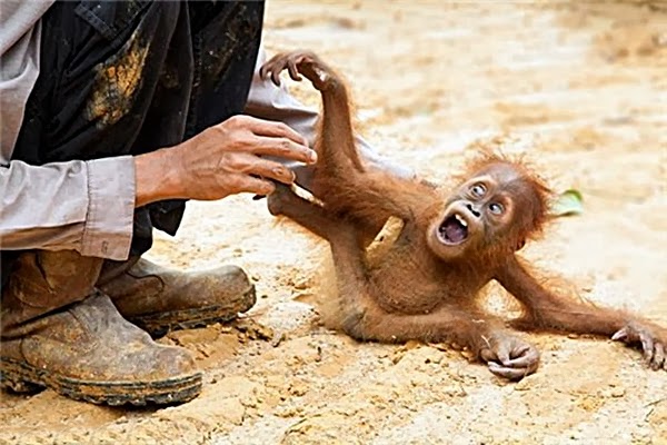 http://2.bp.blogspot.com/-Y_vOE-noCaY/UuH39islKQI/AAAAAAAAH5Q/UBshZCVjFK4/s1600/fhftgjygfjgymgug.jpg