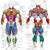 Body Muscle Names / The 25+ best Body muscles names ideas on Pinterest ... : Human muscle system, the muscles of the human body that work the skeletal system, that are under voluntary control, and that are concerned with movement, posture, and balance.