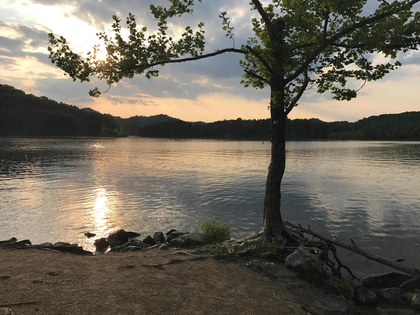 Cozy Rosie Paintsville Lake State Park Kentucky