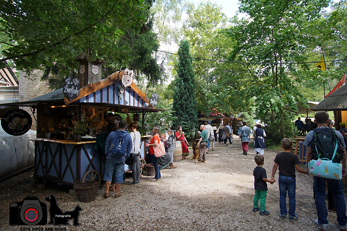 Ausflug Ritterspiele Burg Satzvey 2016