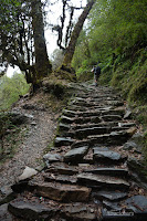 Trekking con miles de escalones de roca en las montañas de Nepal Trekking_21_dias_en_Nepal_Fotografias