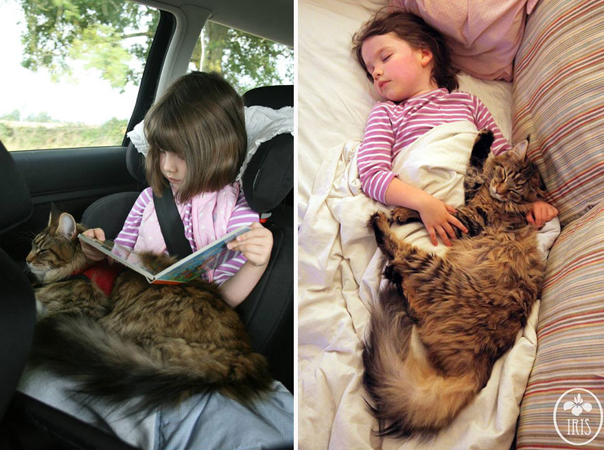 Cats Helping Children with Autism Lola The Rescued Cat