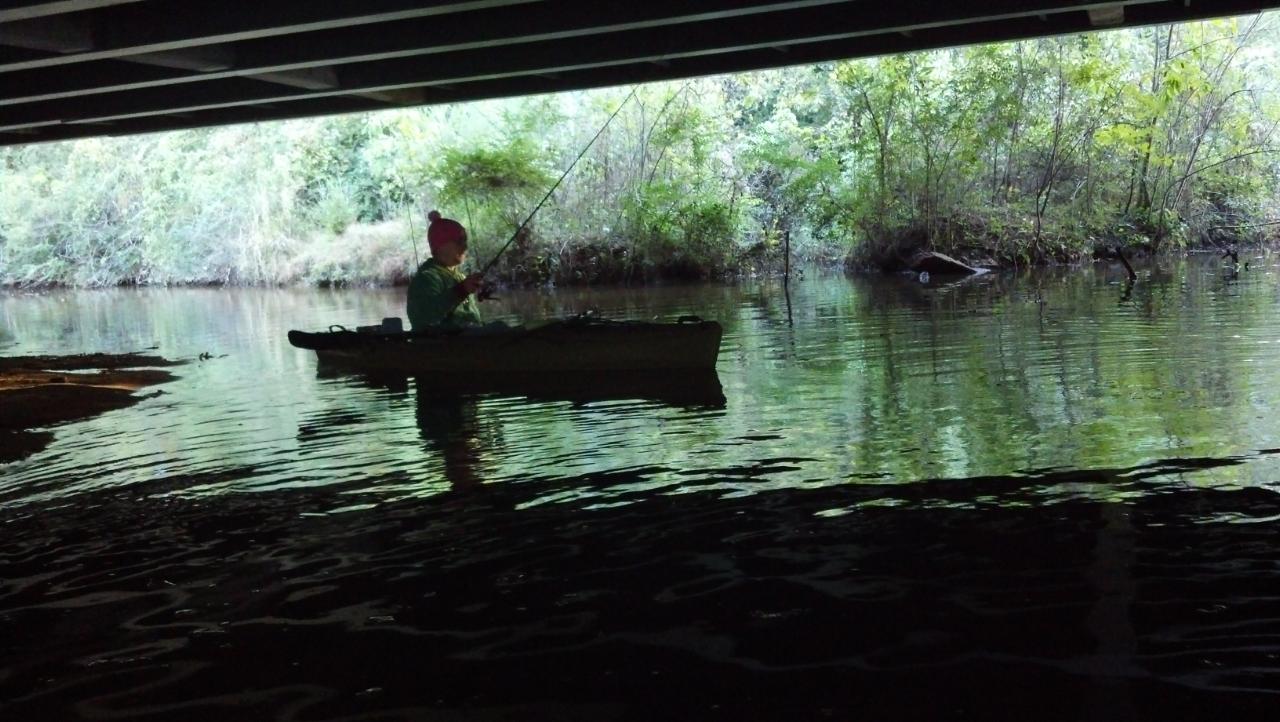 Backwater Kayak Anglers Lake Oliver Day 2...
