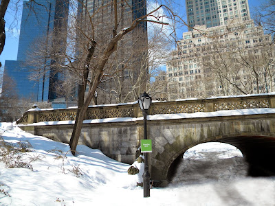 snow central park greyshot arch cloverfield