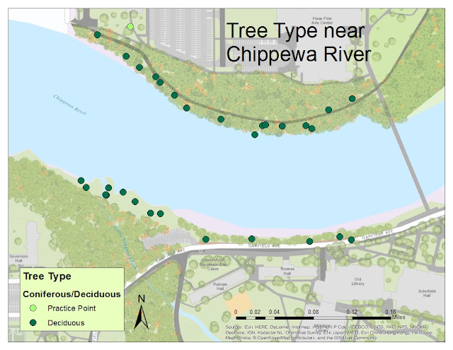 GEOG 336 Geographic Field Methods: Tree Species on Chippewa River