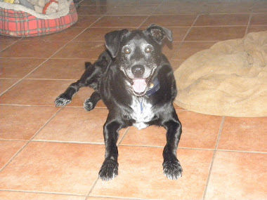 Cleo, Jan 1998-Sep 2011