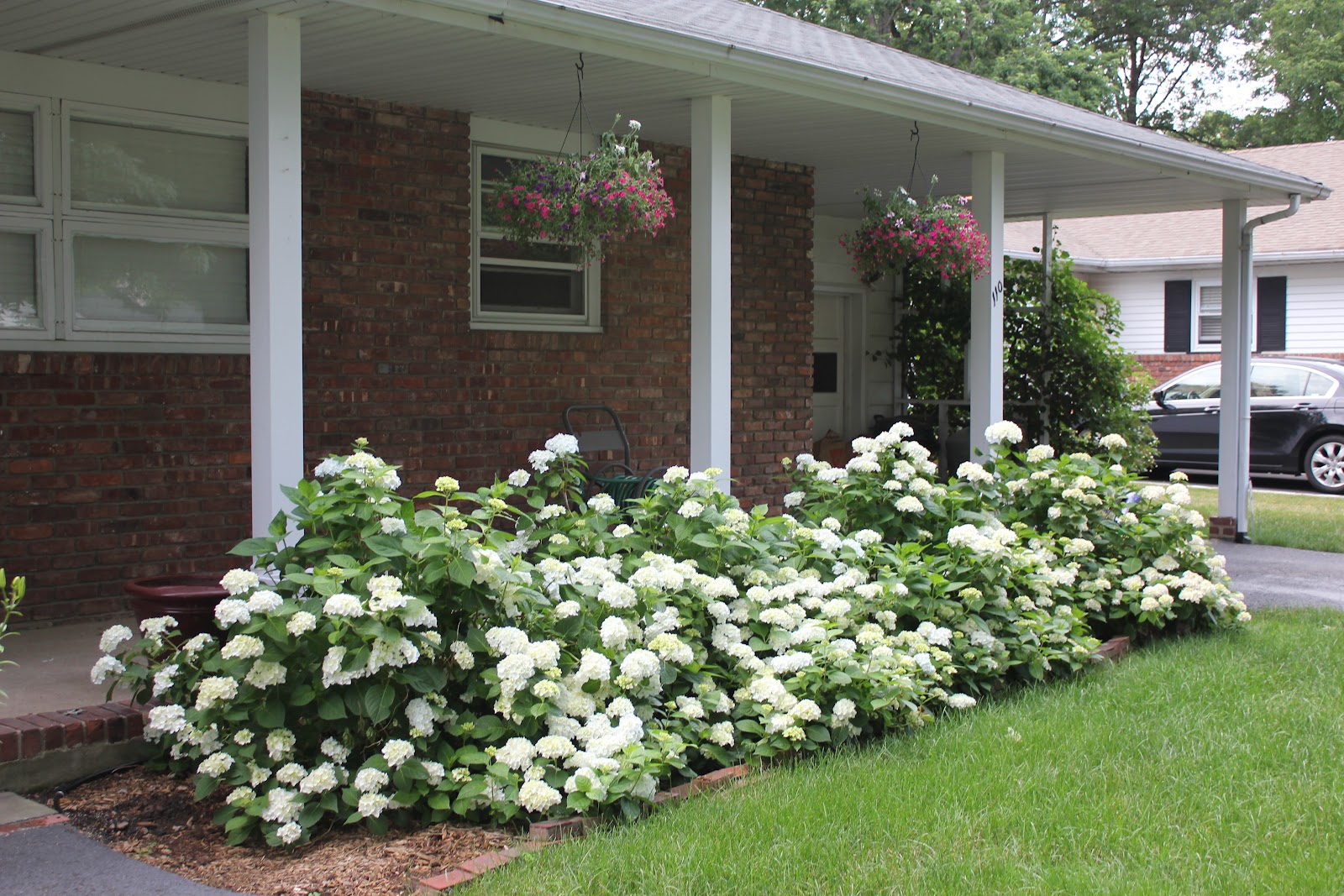 Garden State Roses: It's all about layering...