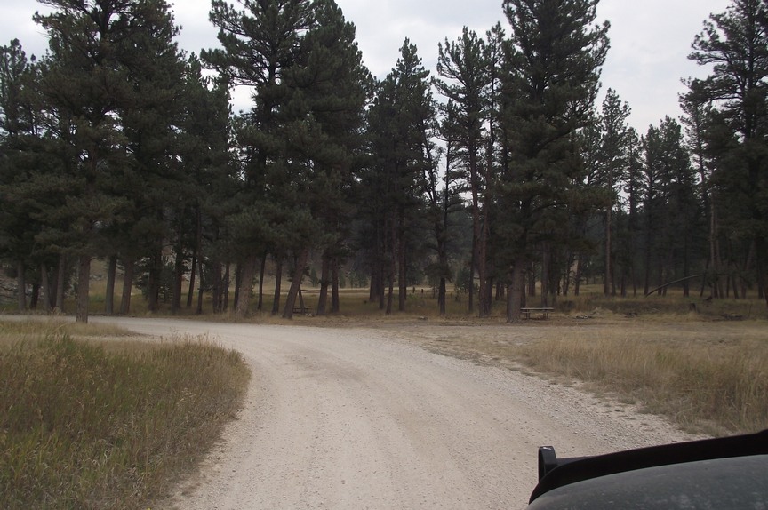 Stitchin' & Life in a Small Town Camping in the Little Belt Mountains