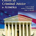 Download Courts and Criminal Justice in America PDF by Siegel, Larry, Schmalleger, Frank, Worrall, John (Paperback)