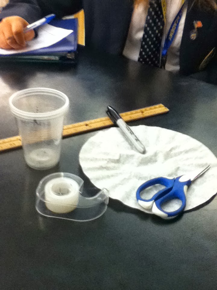 paper chromatography: Paper Chromatography Lab