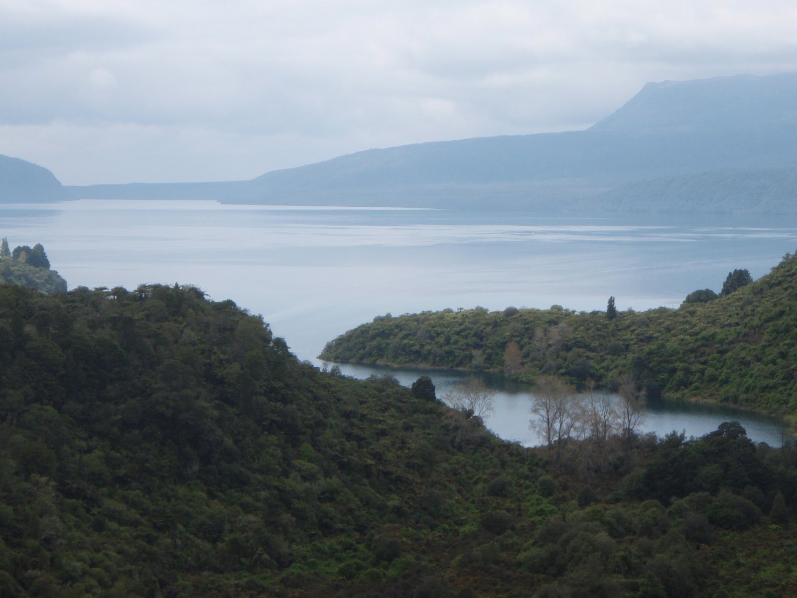 Aerohaveno Buried Village Te Wairoa, New Zealand