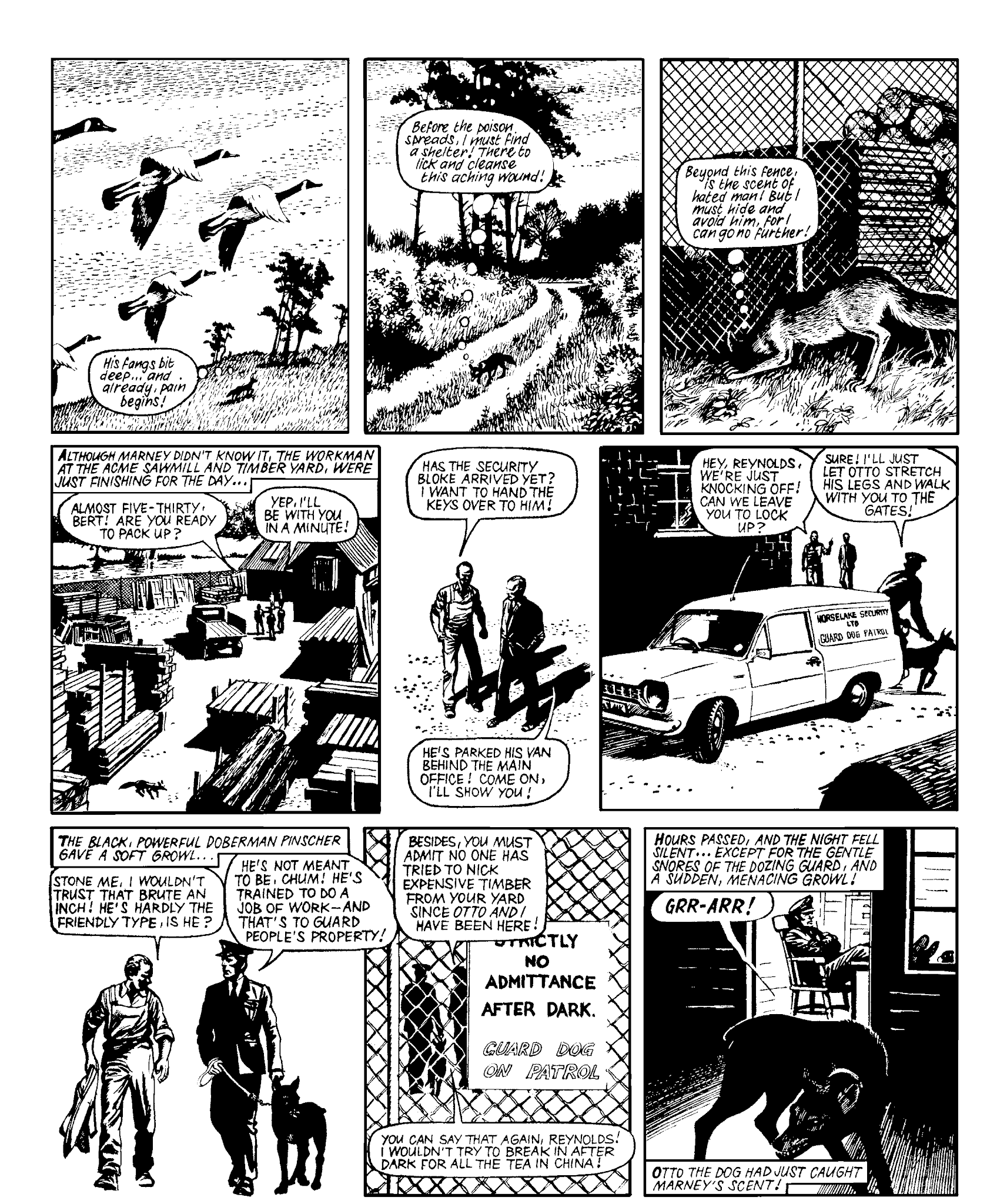 Read online Marney the Fox comic -  Issue # TPB (Part 2) - 43