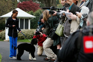 os cães do presidente