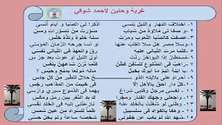 الإشراق شرح قصيدة غربة وحنين سينية شوقي