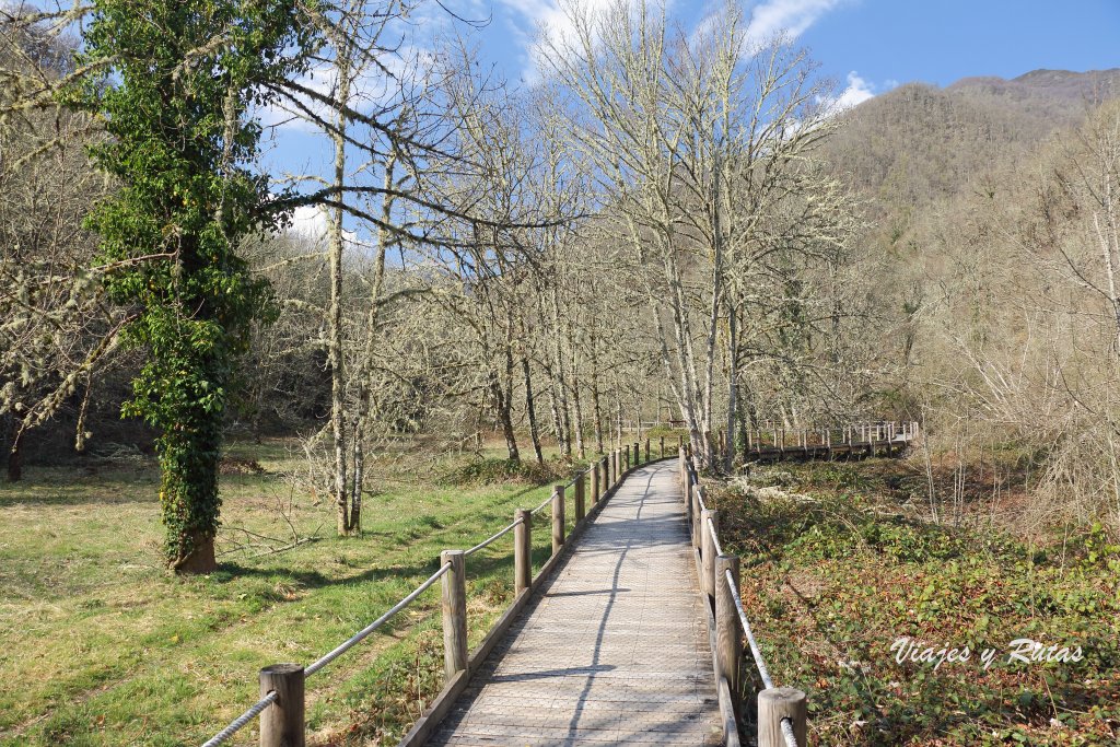 Pasarela de madera de Muniellos, Asturias