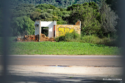 Em Campo Magro (Paraná, Brasil), by Guillermo Aldaya / AldayaPhoto