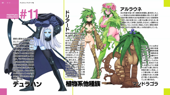 Las Especies de Monster Musume No Iru Nichijou