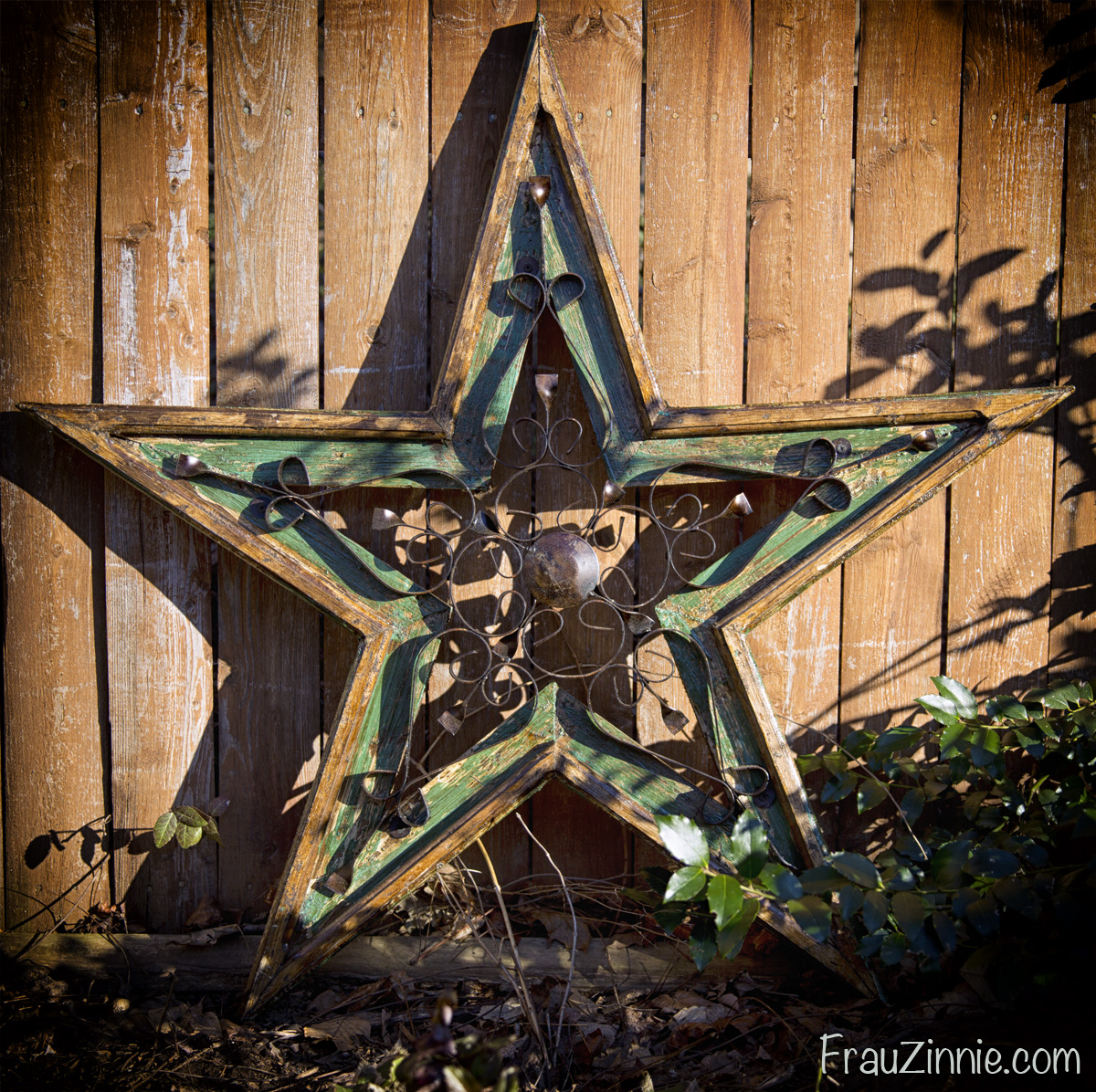 this is the garden star i purchased from the connecticut flower and garden show