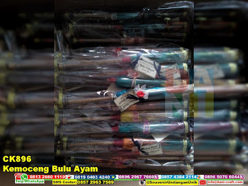 jual Kemoceng Bulu Ayam