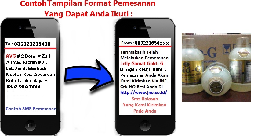 Format Pemesanan Jelly Gamat Gold- G Melalui Sms