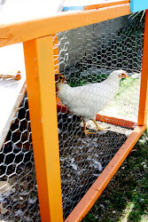 coop chicken modern christina jeff farm don