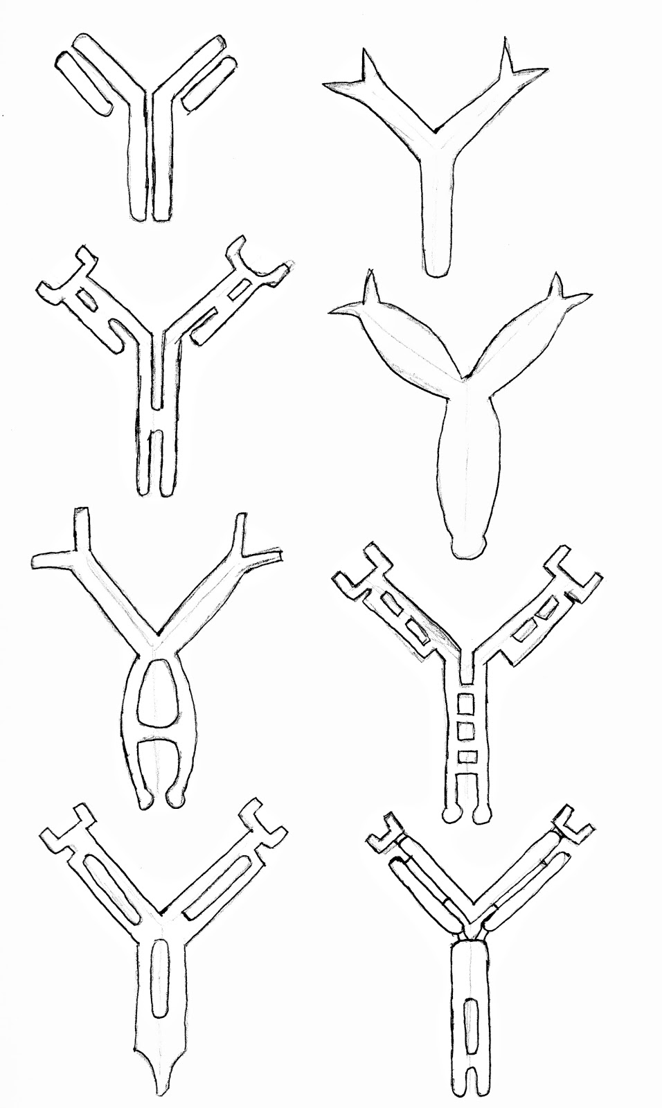 Katy J Negus. BA Hons. CG Arts & Animation Antibody Designs