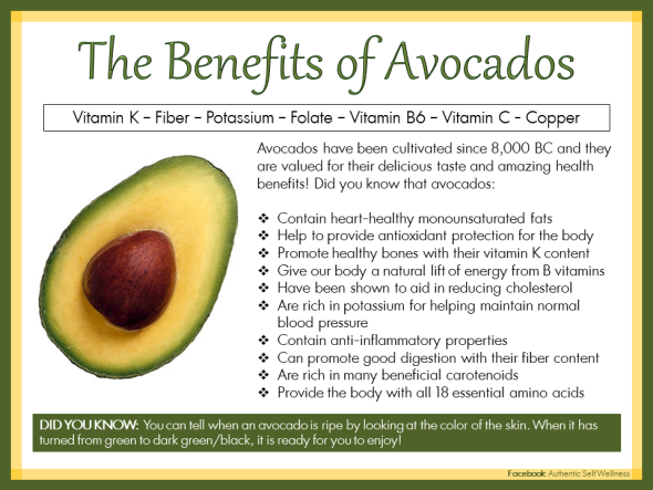 Is It Good For Dogs To Eat Avocado Is It Good For Dogs To Eat Avocado