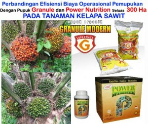 www.agenpupuksupernasa.com jual pupuk di sarilamak