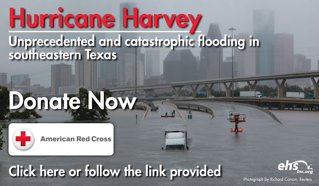 https://www.redcross.org/donate/hurricane-harvey?scode=RSG00000E017&utm_campaign=Harvey&gclid=EAIaIQobChMI2OCvn7L91QIVHLXACh19BQ9tEAAYAiAAEgLmrfD_BwE&gclsrc=aw.ds&dclid=COyl56qy_dUCFRK7TwodGw4KAg