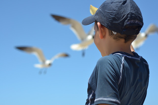 5 Tips for Birdwatching with Kids 