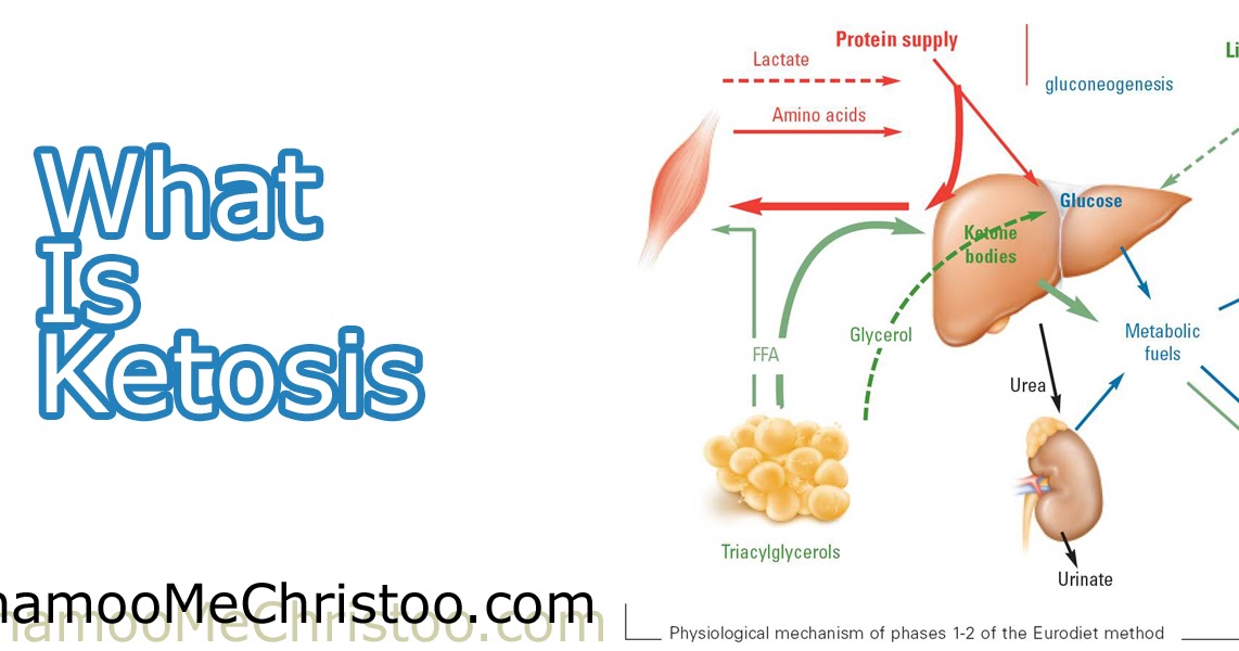 Simptomas cetosis metabolica