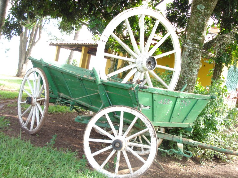 Marconews Família é destaque na produção