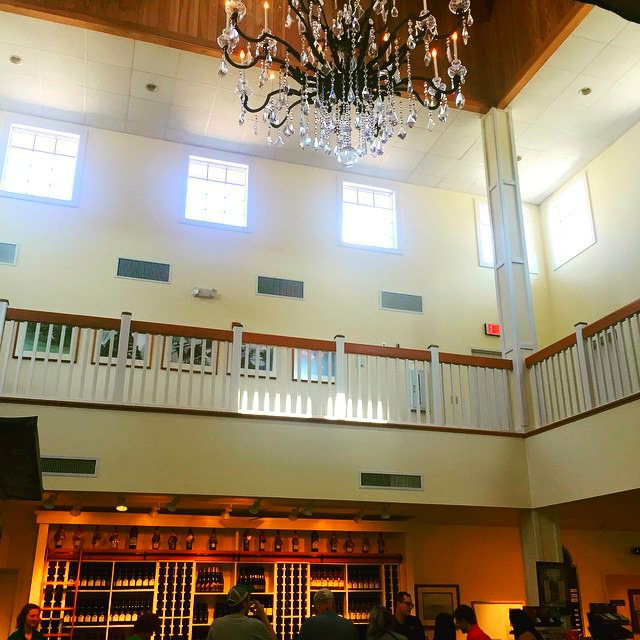 NC Yadkin Valley Getaway Shelton Vineyards and Grassy Creek Vineyard