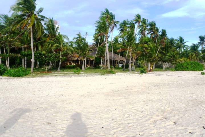 AL'S IN WONDERLAND: BANTAYAN ISLAND
