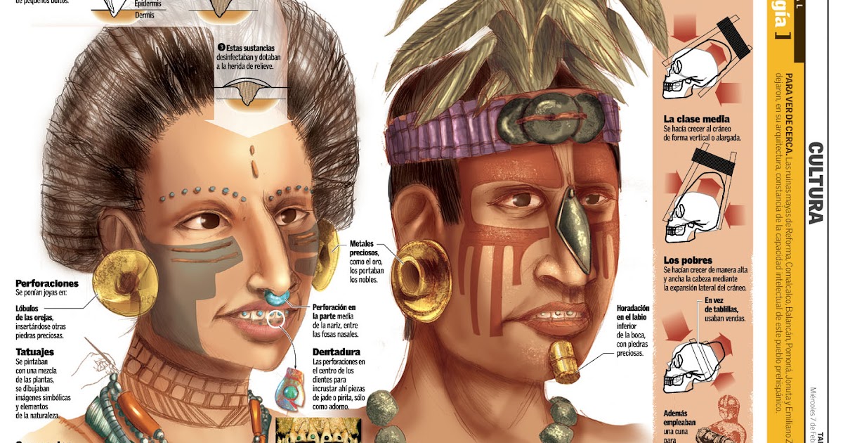 Partes Del Cuerpo En Maya Partes Del Cuerpo En Maya