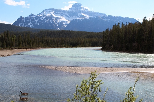 Russ and Rob's Travels: The Icefield Pathway Highway #93