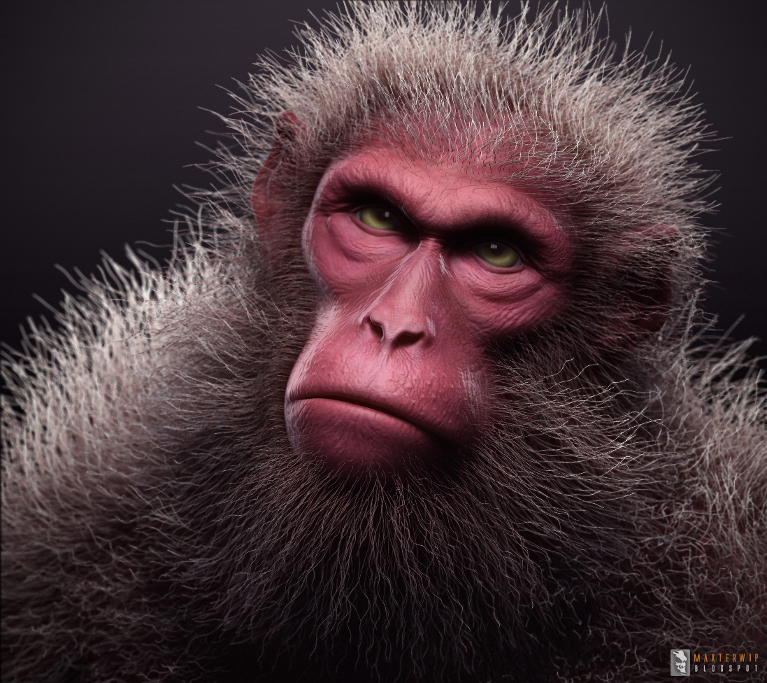 MAXTERยทWIP: Monkey Update