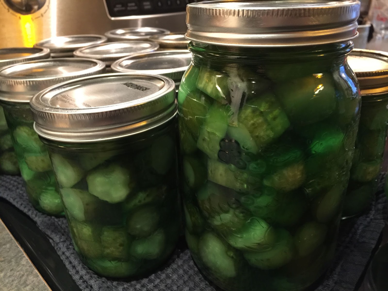 Rhubarb & Roses Mom's Society Chip Pickles