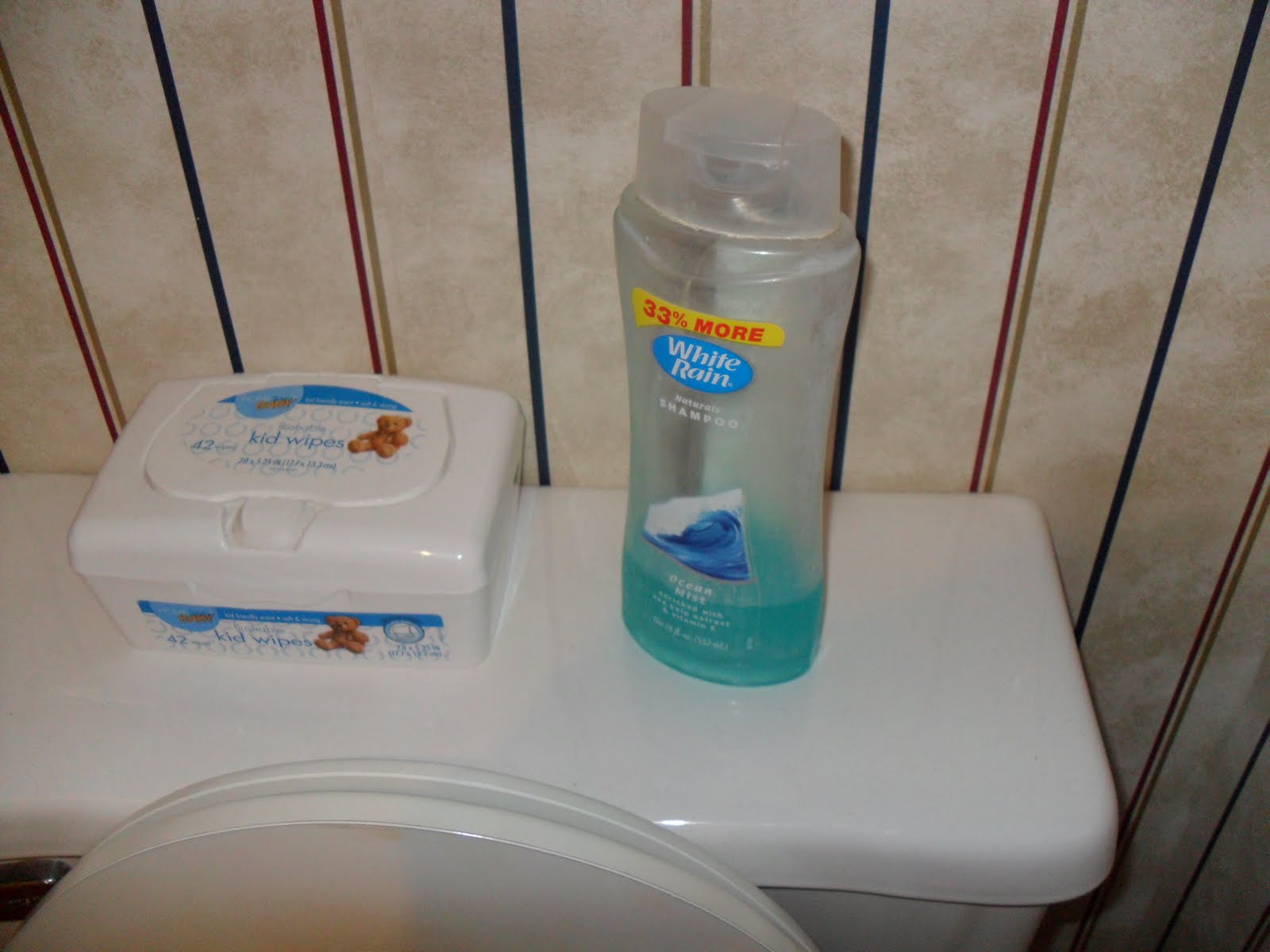 Grammy Goodwill Clean a toilet Huck Finn style