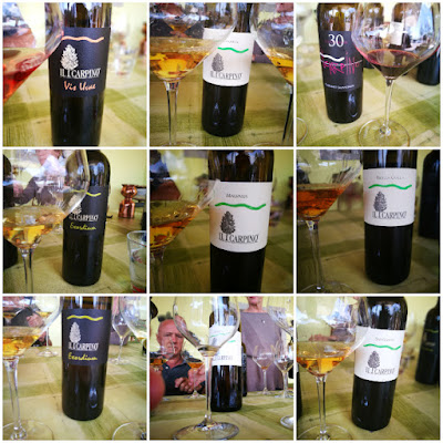 vini il carpino