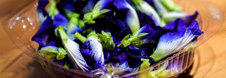10 Khasiat Bunga Telang untuk Kesehatan - Mahkota Herbal