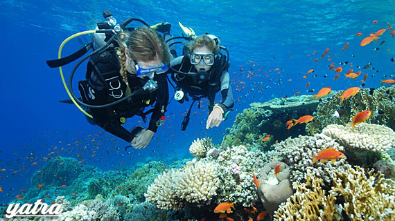 scuba diver large%2Bcopy.psd