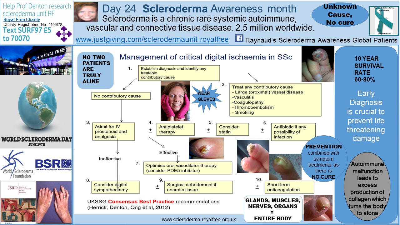 Cosmic Fairy 444 'fairy insights to excite' DAY 24 Scleroderma