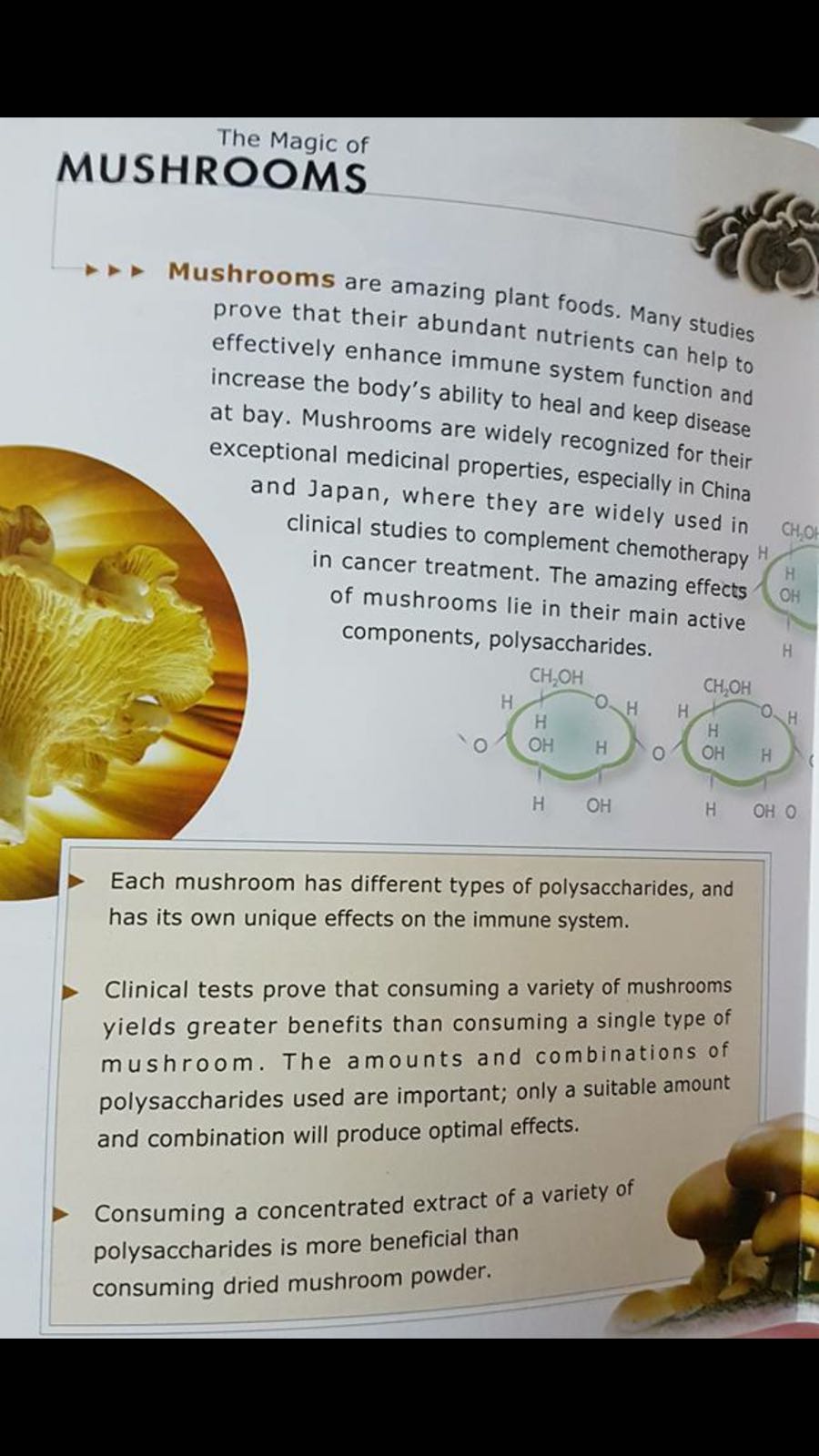 Nutritional Immunology Lifestyle Superfood Mushroom
