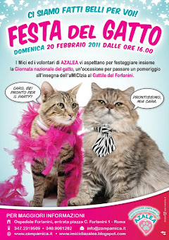 FESTA DEL GATTO AL GATTILE AZALEA